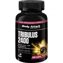 Tribulus 2400 150 капс Body Attack